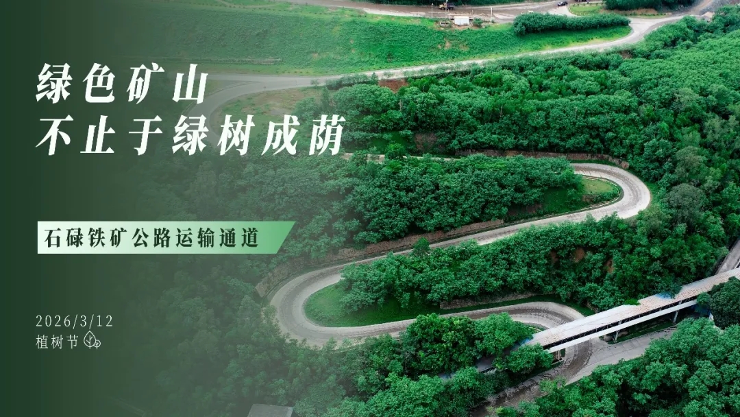 植树节 | 绿色矿山，不止于绿树成荫